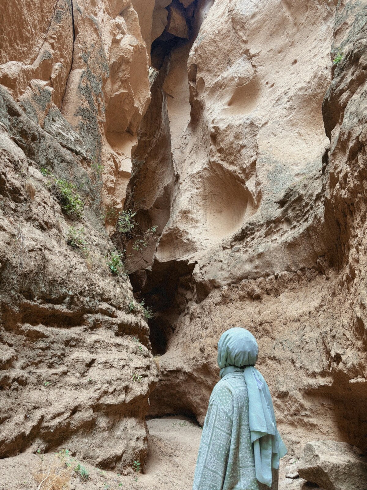 نظام صوت احترافي JBL