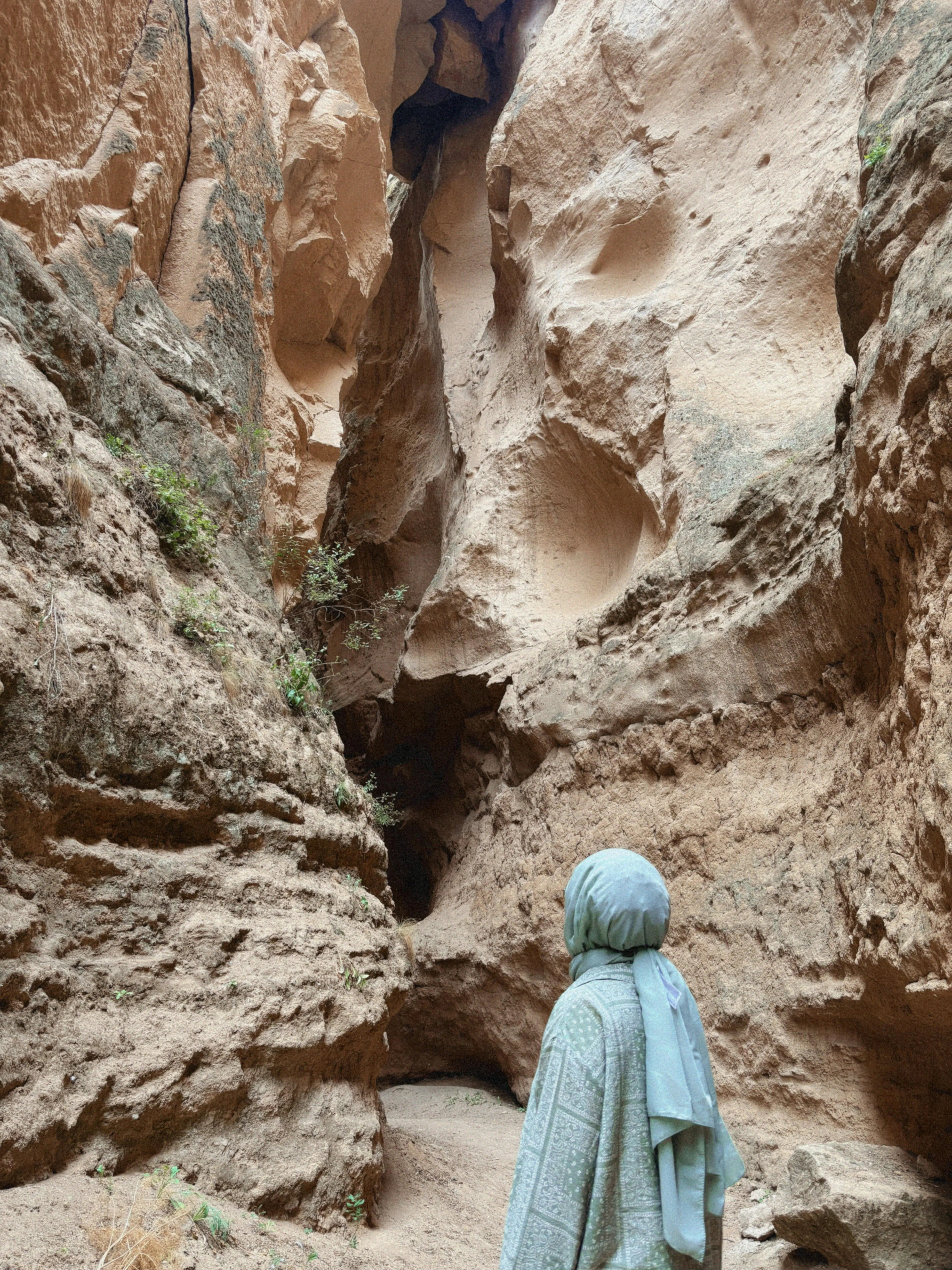 رعاية زينة مؤقتة