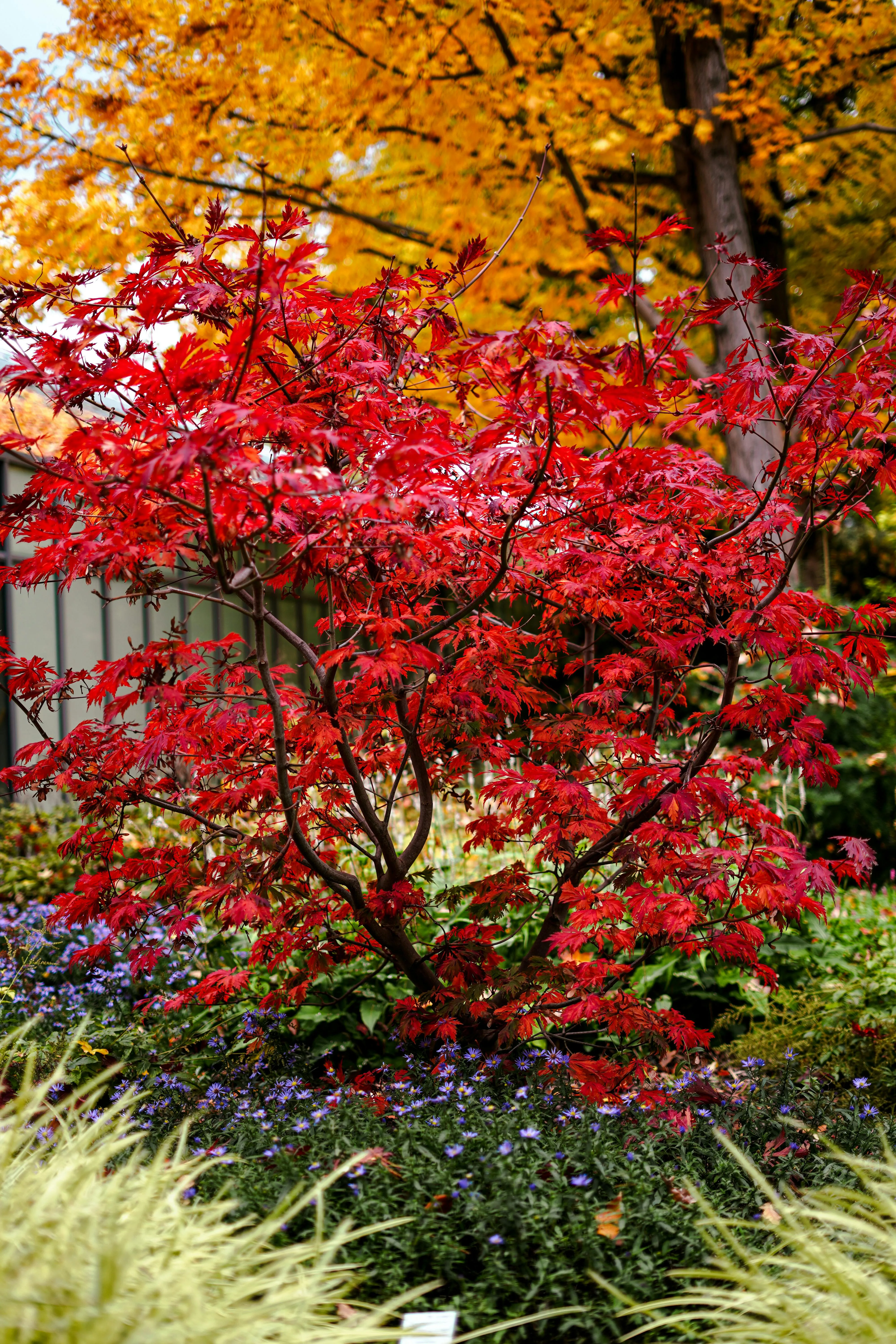 نقل وشحن سيارات احترافية